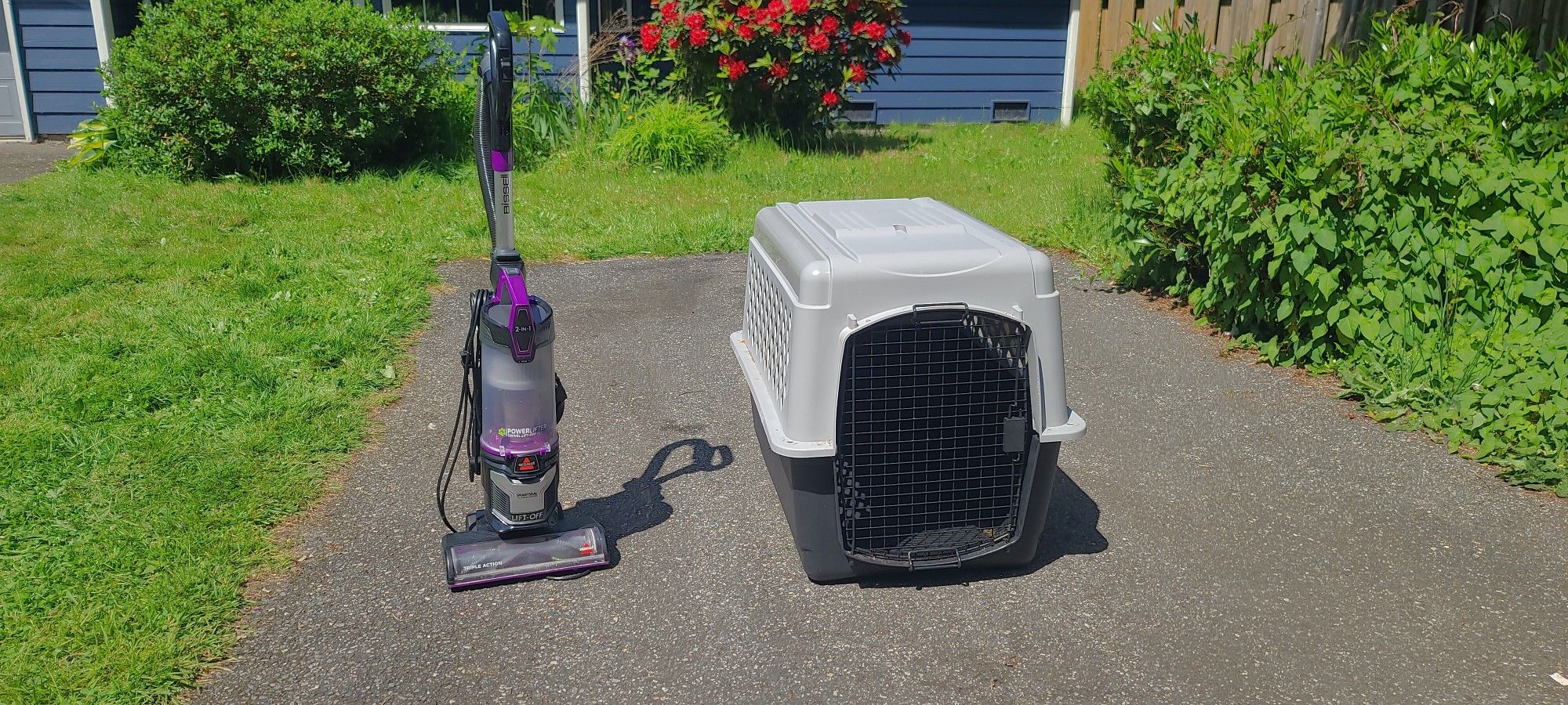 Pet Kennel