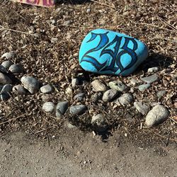 Garage Sale - clothing, books, furniture, collectibles