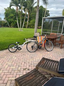 Adult bike and Wee ride or a tag along bike