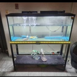 55 Gallon Fish Tank And Stand