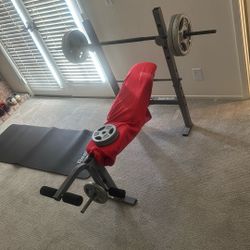Weight Bench Weights Incuded