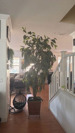 Fake tree