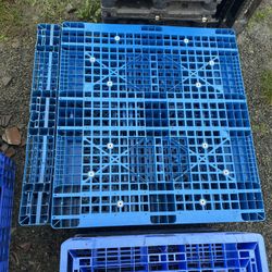 Plastic Pallets $5ea