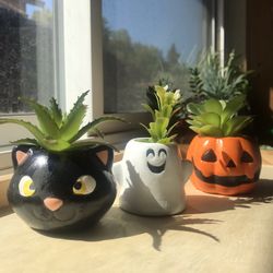Halloween Succulent Pots