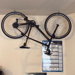 Specialized Large Frame Hybrid