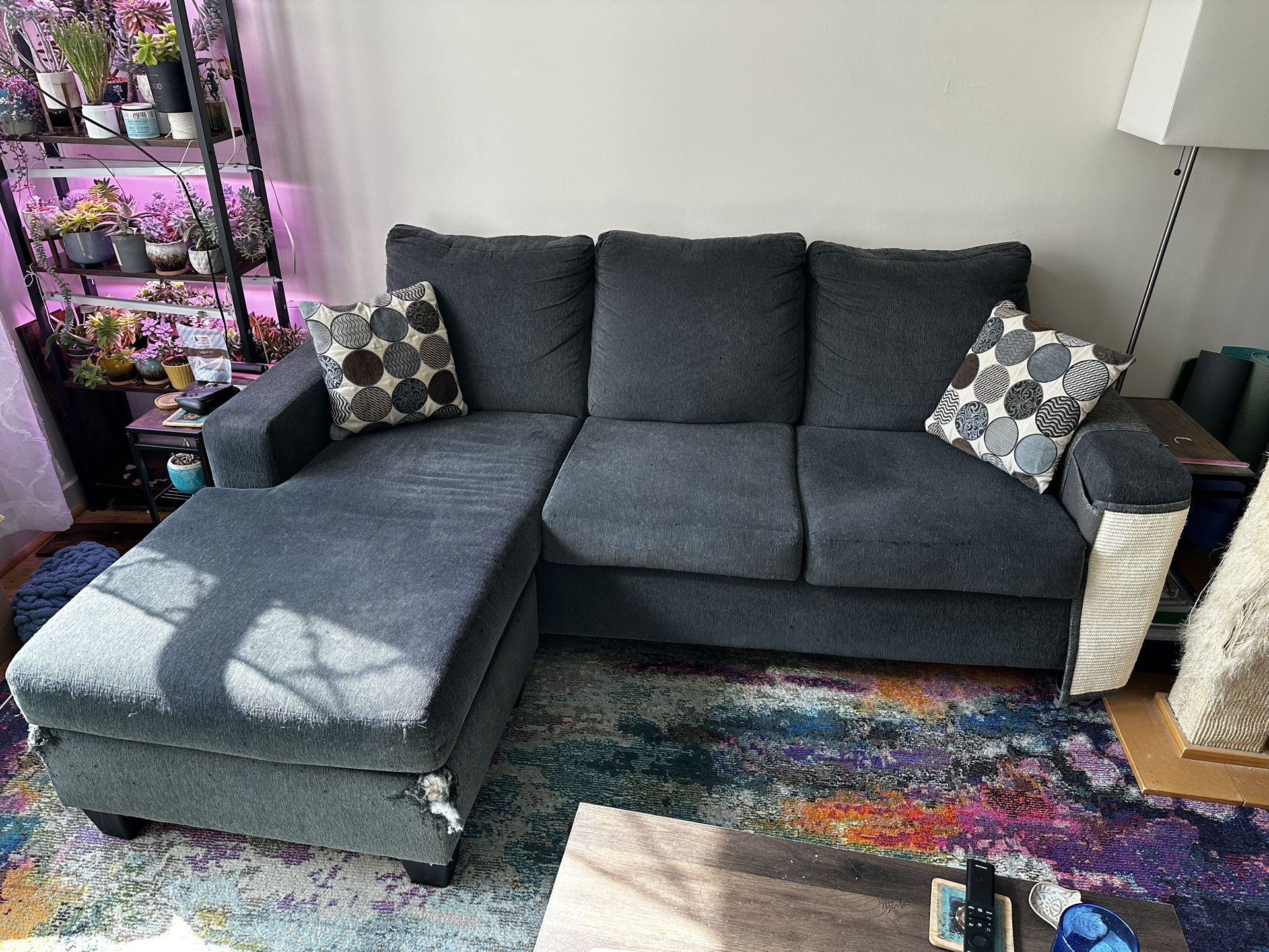 Couch For Sale
