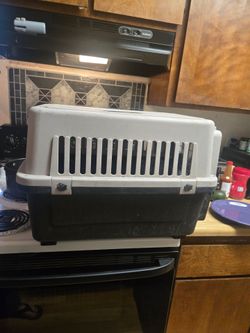 Pet Carrier