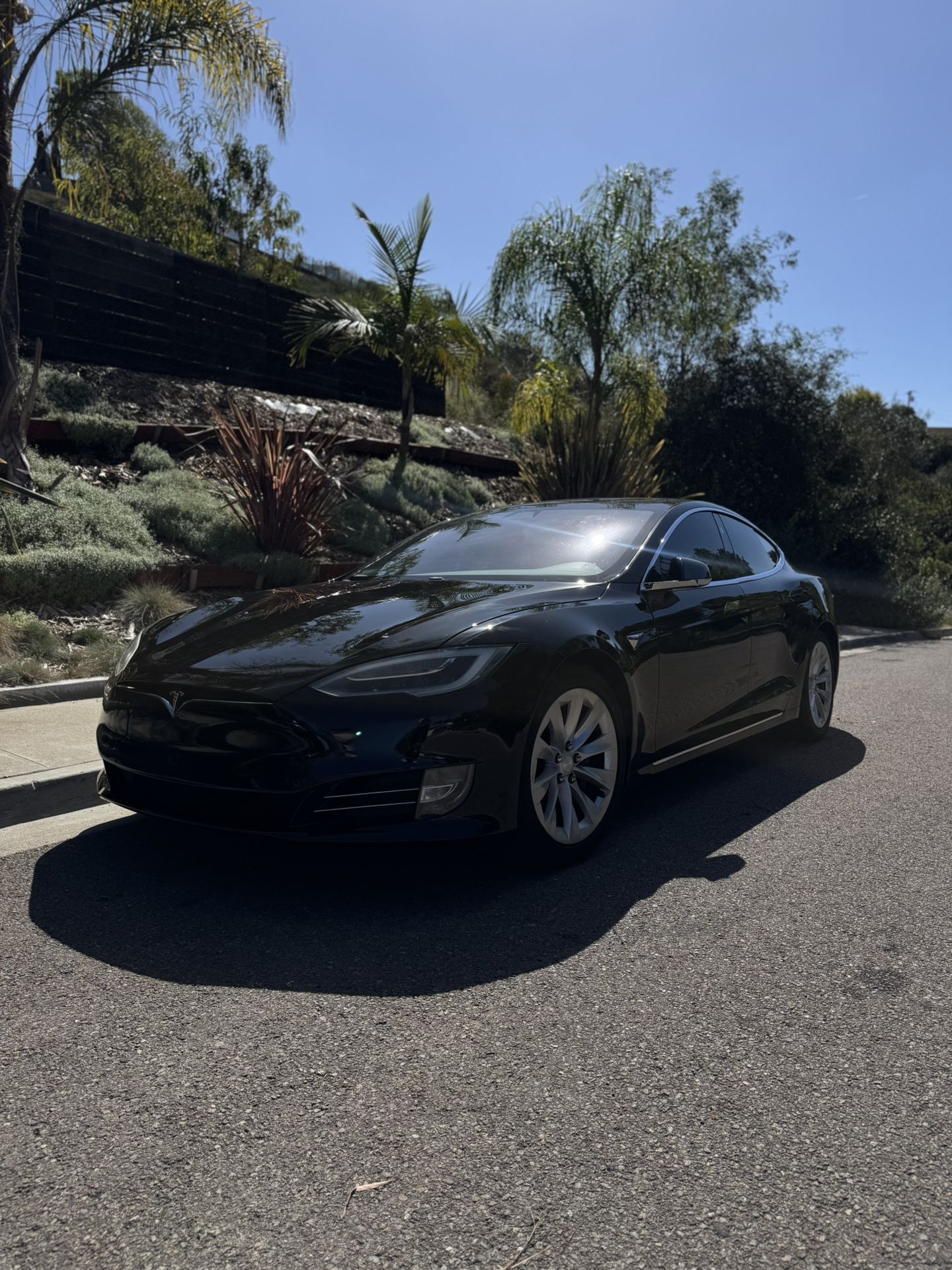 2019 Tesla Model S