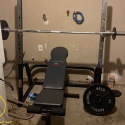 Gym Equipment 