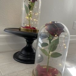 Mother’s Day Gift
