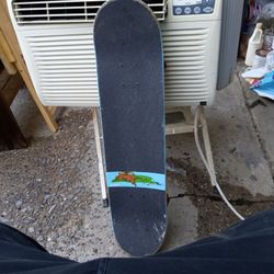 Enjoi Skateboard 