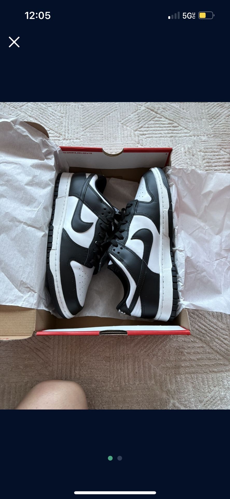 Size 10 Nike Pandas