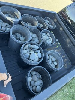 Mexican beach pebble