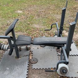 Gym Weights And Bench And 1 Barbel 