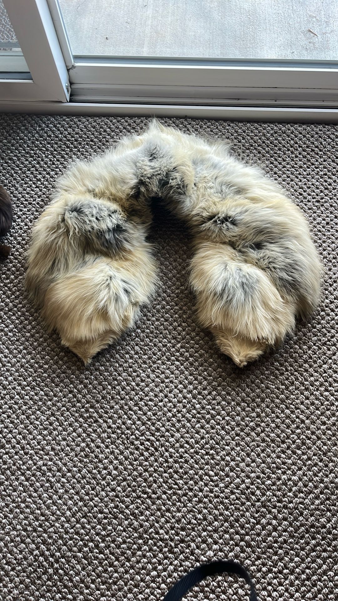Authentic Fur Colors
