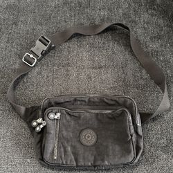 Kipling Purse