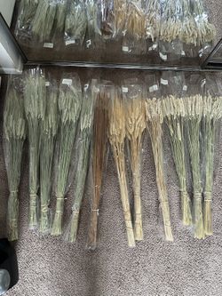 Dry Floral - Flores Secas 