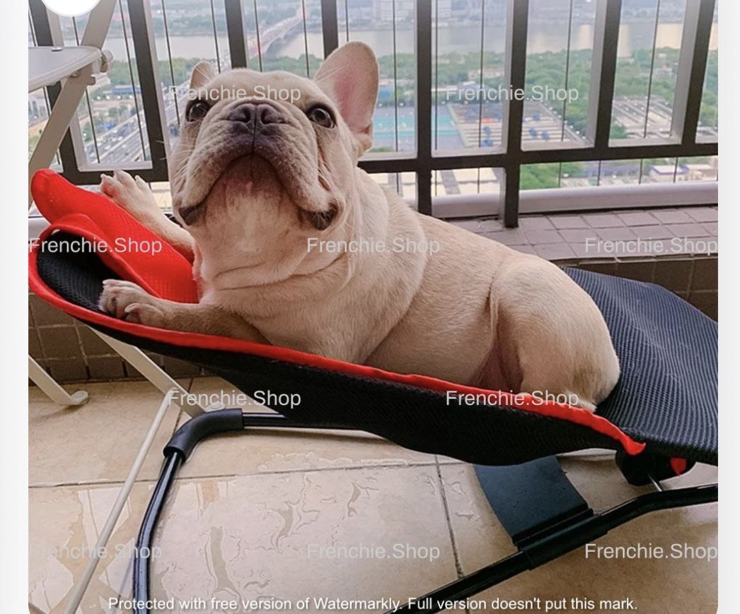 Rocking Frenchie Chair 