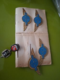 Vintage  pins,brooch.PAN AM