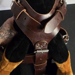 Dog Harness