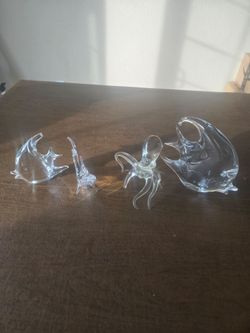 Glass Ocean Fish