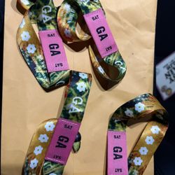 Daisy Chain Fields Festival General Admission GA Tickets Olivia Rodrigo