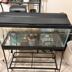 20 Gl Fish Tank 