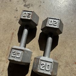 20lb dumbbell set 