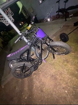Ridstarq20