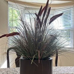 plant grass home decor