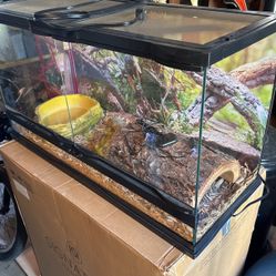 20 Gallon Reptile Tank