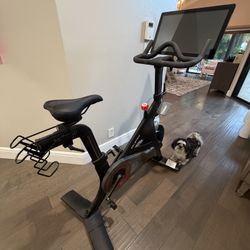 Fully Functioning Barely Used Peloton Bike And Shoes