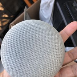 Google Next Mini… Year Unknown