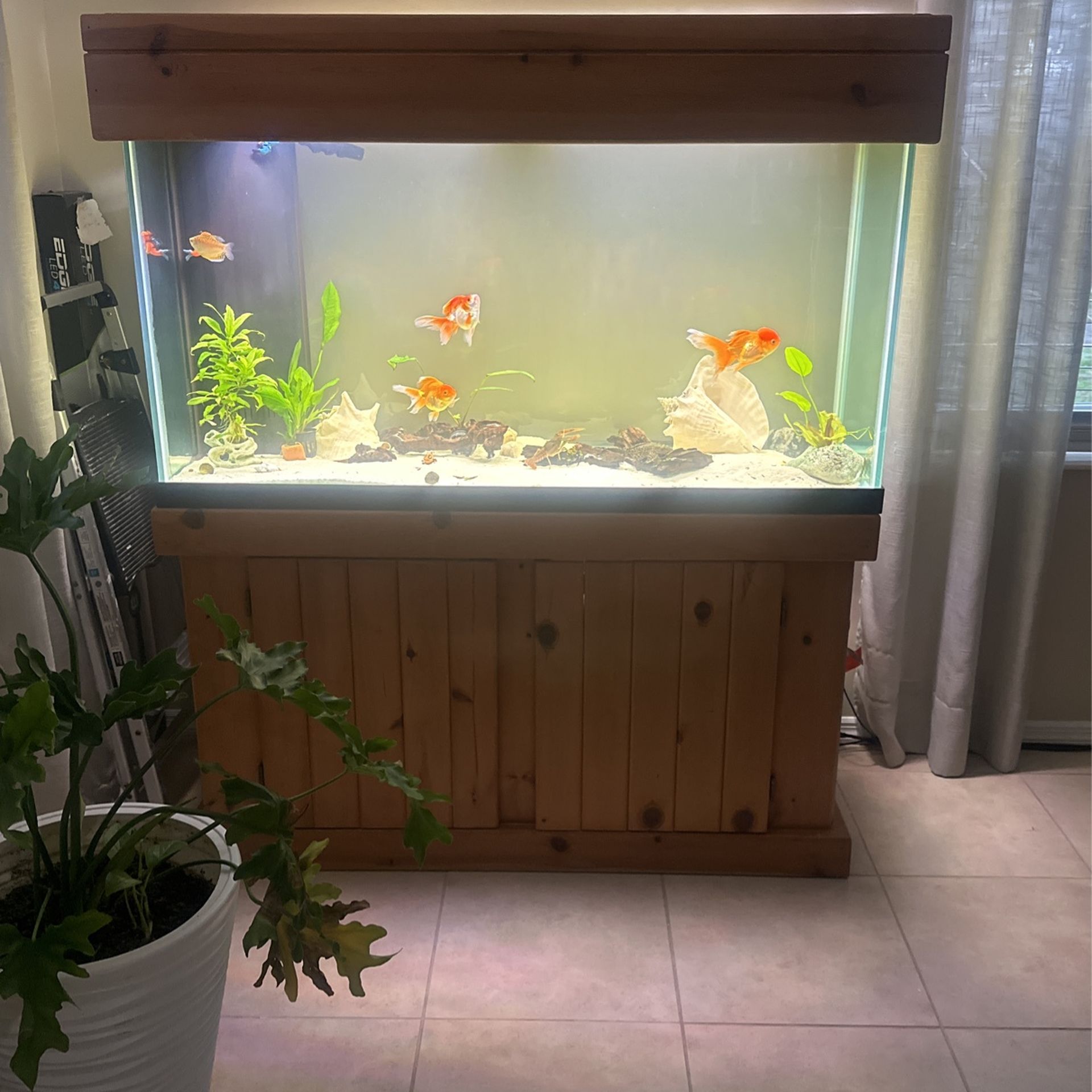 Aquarium 90 Gallons