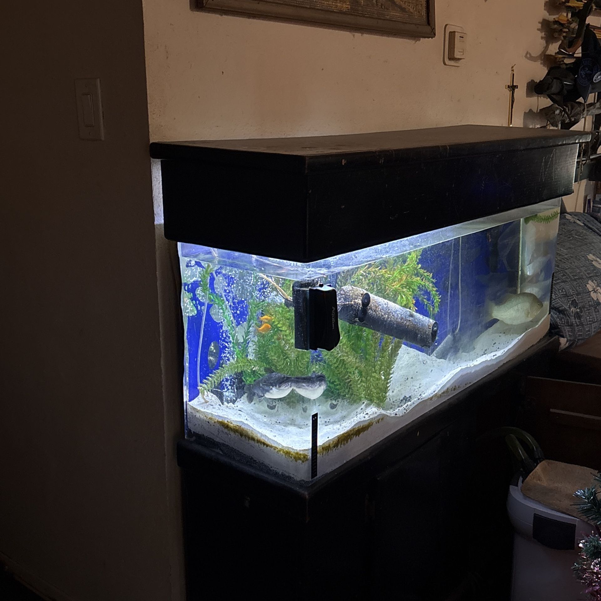 60 Gallons Acrylic Fish Aquarium Tank For Sale With All Accessories Included