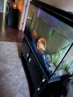 55 GL Tank And Stand
