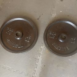 Olympic Weight Plates.       80 Dollars 