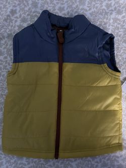 Vest
