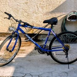 Tank 24 Mountain Bike