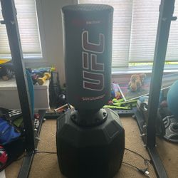 UFC Punching Bag