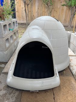 Dog house