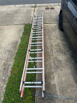 Tall Ladder