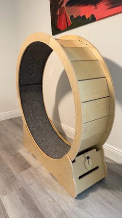 Cat Excercise Wheel