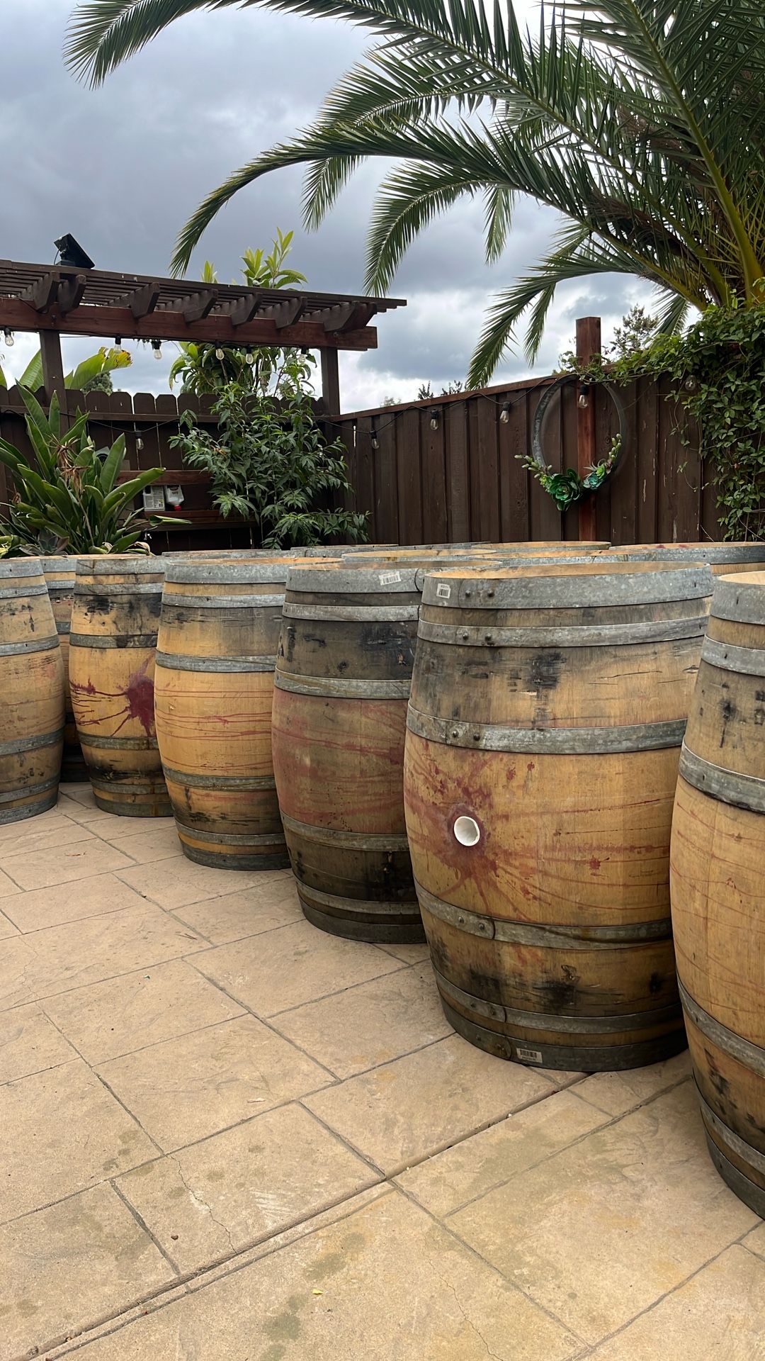 Wine Barrels For Sale