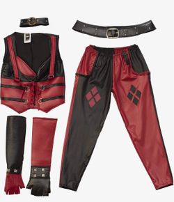 Rubies womens Batman Arkham City, Secret Wishes Adult Harley Quinn Costume