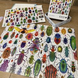 Bountiful Beetles Puzzle 