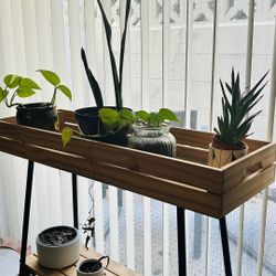Wooden Plant Stand (Ikea-Vaniljstang)