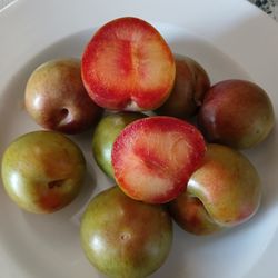 Prunus Doméstica Ciruelo Dulce La Fruta Tengo 2