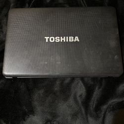 Toshiba Laptop 