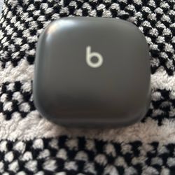 Earphones/headphones